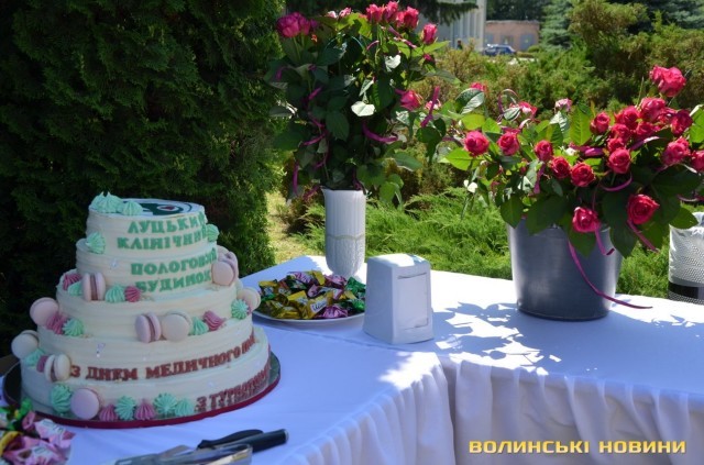ЇХНЯ ПРАЦЯ ДАРУЄ НОВЕ ЖИТТЯ: ЯК ЛУЦЬКИЙ ПОЛОГОВИЙ БУДИНОК ВІДСВЯТКУВАВ ДЕНЬ МЕДИКА. ФОТО